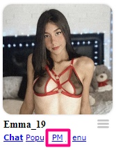 myfreecamsでスッキリした画面でチャットを視聴するボタン