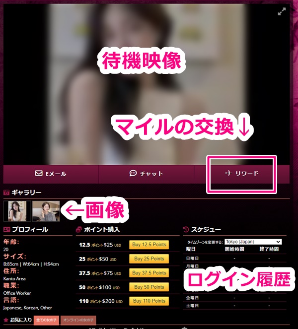 sakuraliveの待機映像