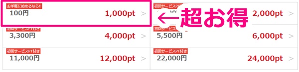 マダムライブの購入プラン